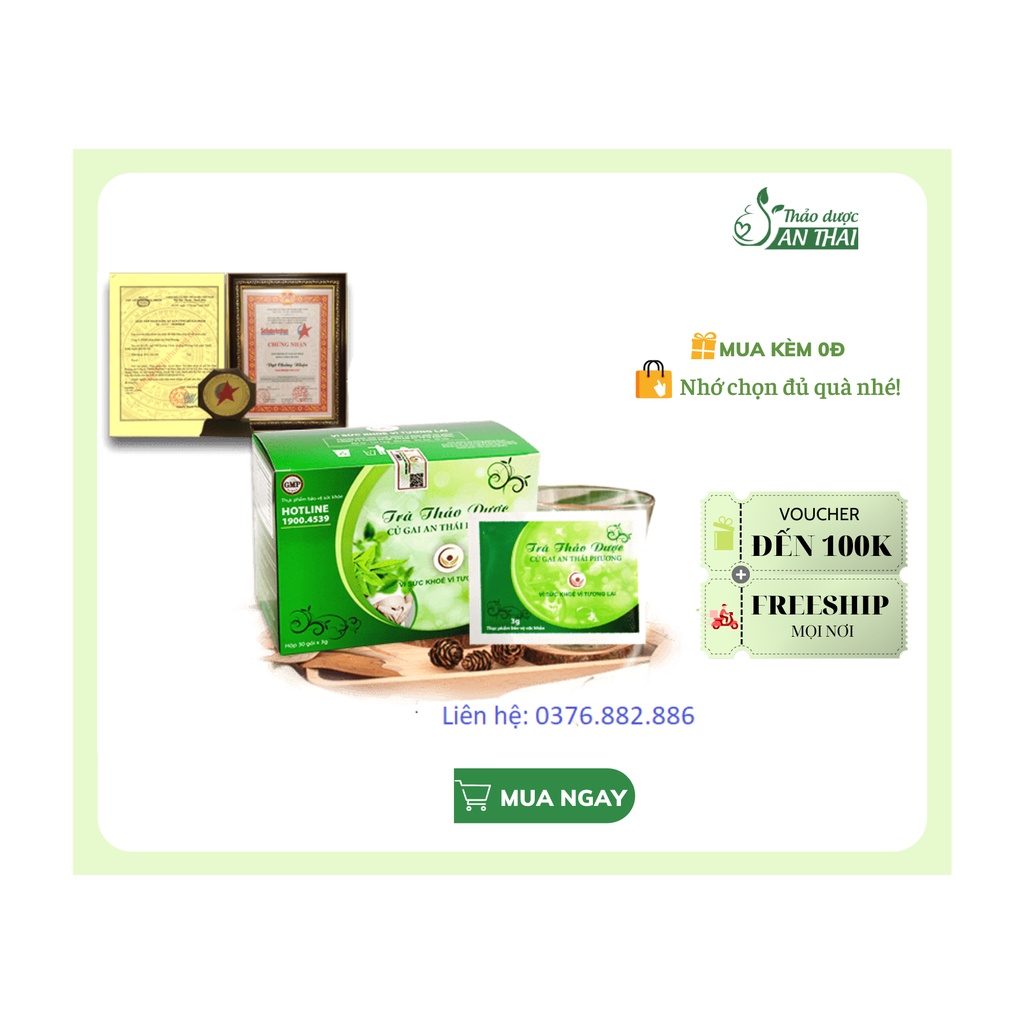 THẢO DƯỢC AN THAI CỦ GAI - AN THÁI PHƯƠNG