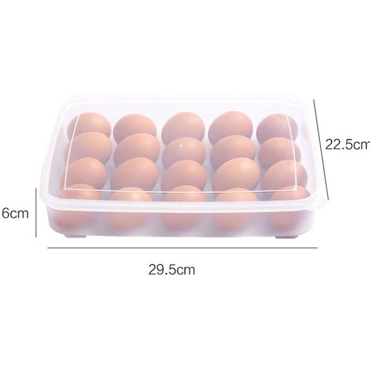 Khay Đựng Trứng 1 Tầng 24 Quả