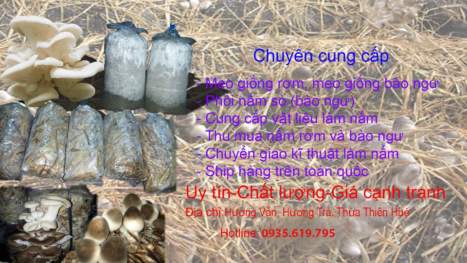 Bột lông vũ dùng cho nấm rơm