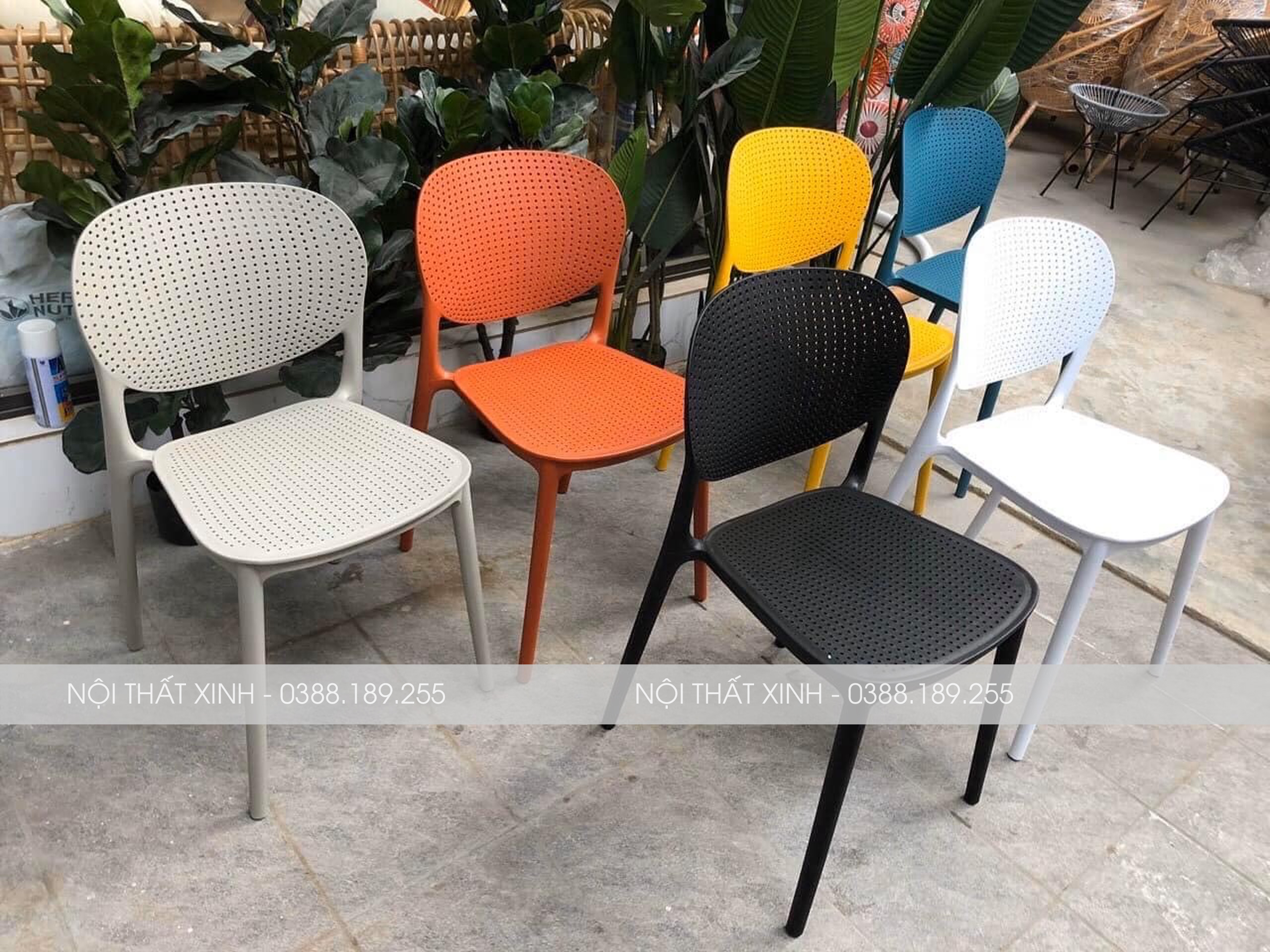[GHẾ CAFE - GHẾ ĂN] Ghế nhựa đúc Hole