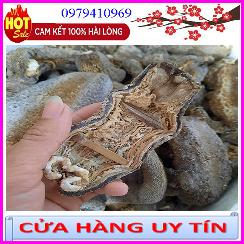 500gr Hải sâm da chăn. Đồn đột da chăn. Ngận da chăn
