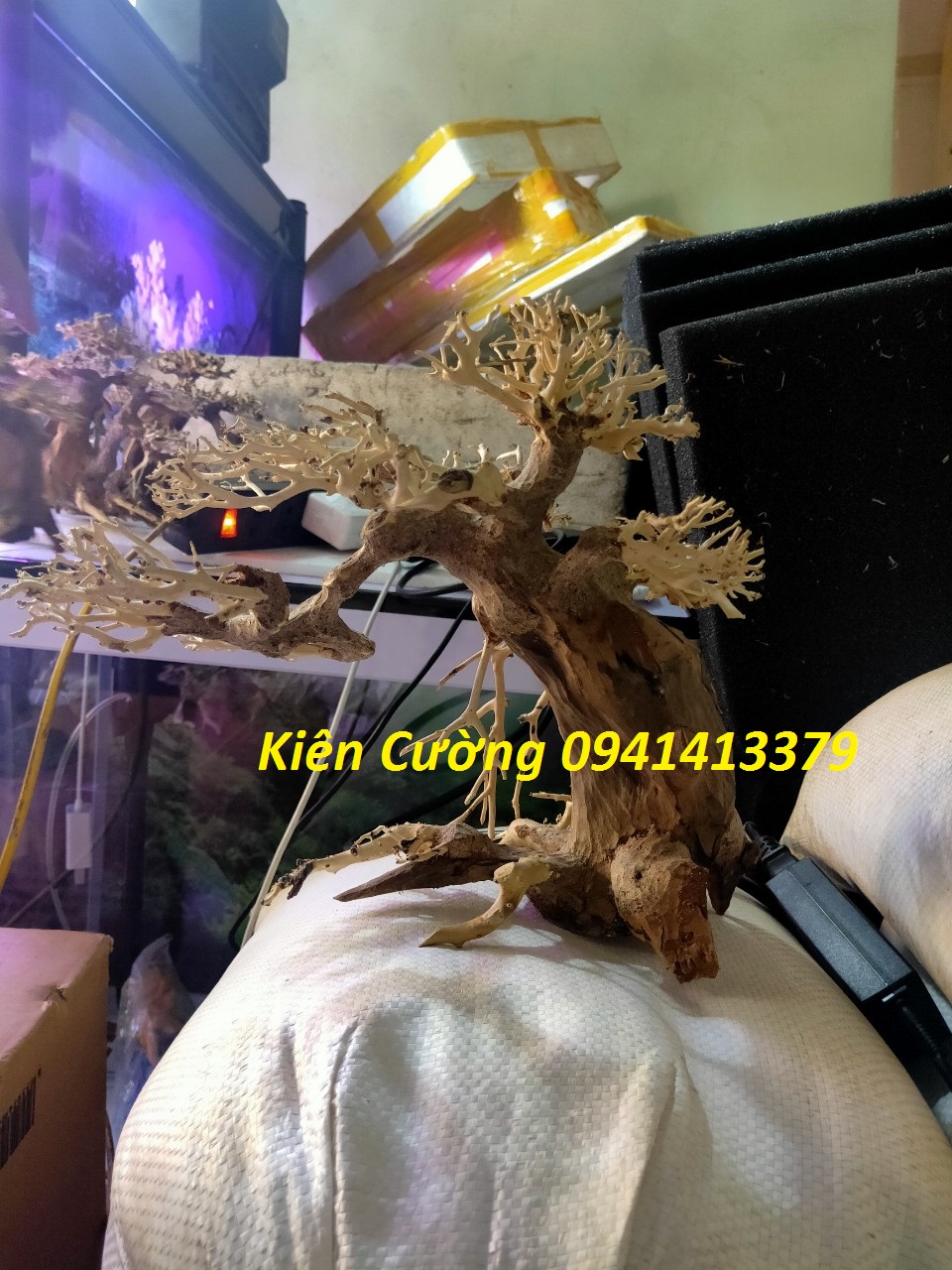 Cây gỗ lũa thủy sinh dùng cho bể cá cảnh, gỗ lúa cao cấp (Mẫu 1)