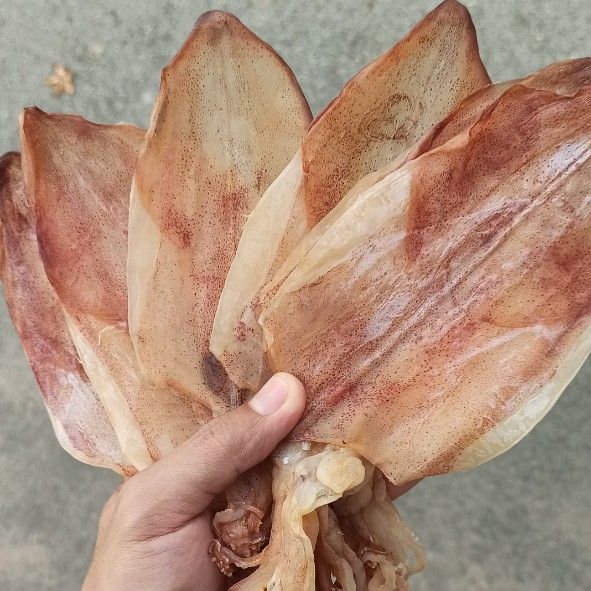 [100g] Khô mực Cà mau loại ngon giá rẻ (20-25 con / 1kg)