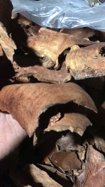 Thổ phục linh khô 1kg