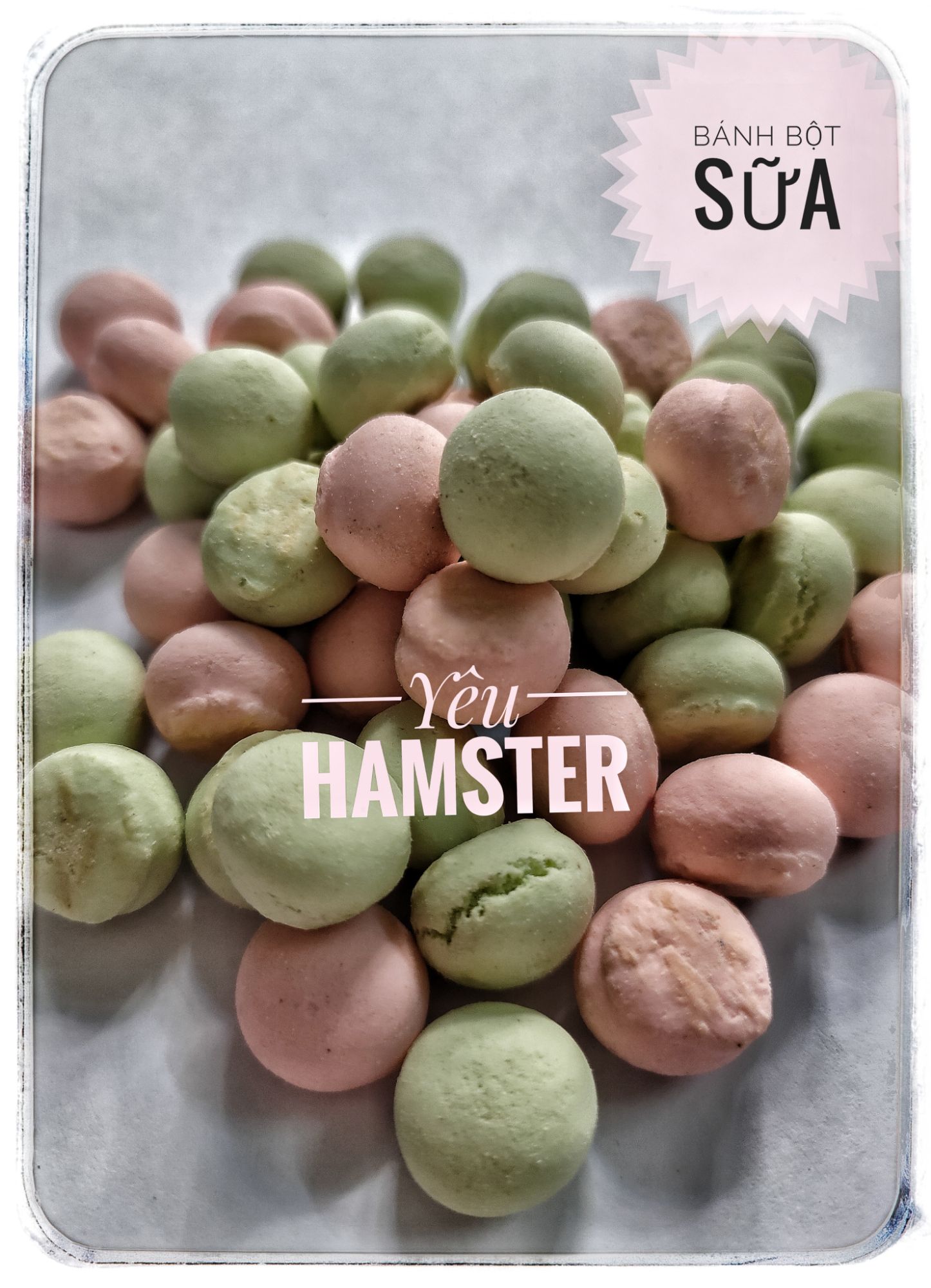 Bánh bột sữa- Thức ăn cho hamster, ăn dặm hamster, thú cưng