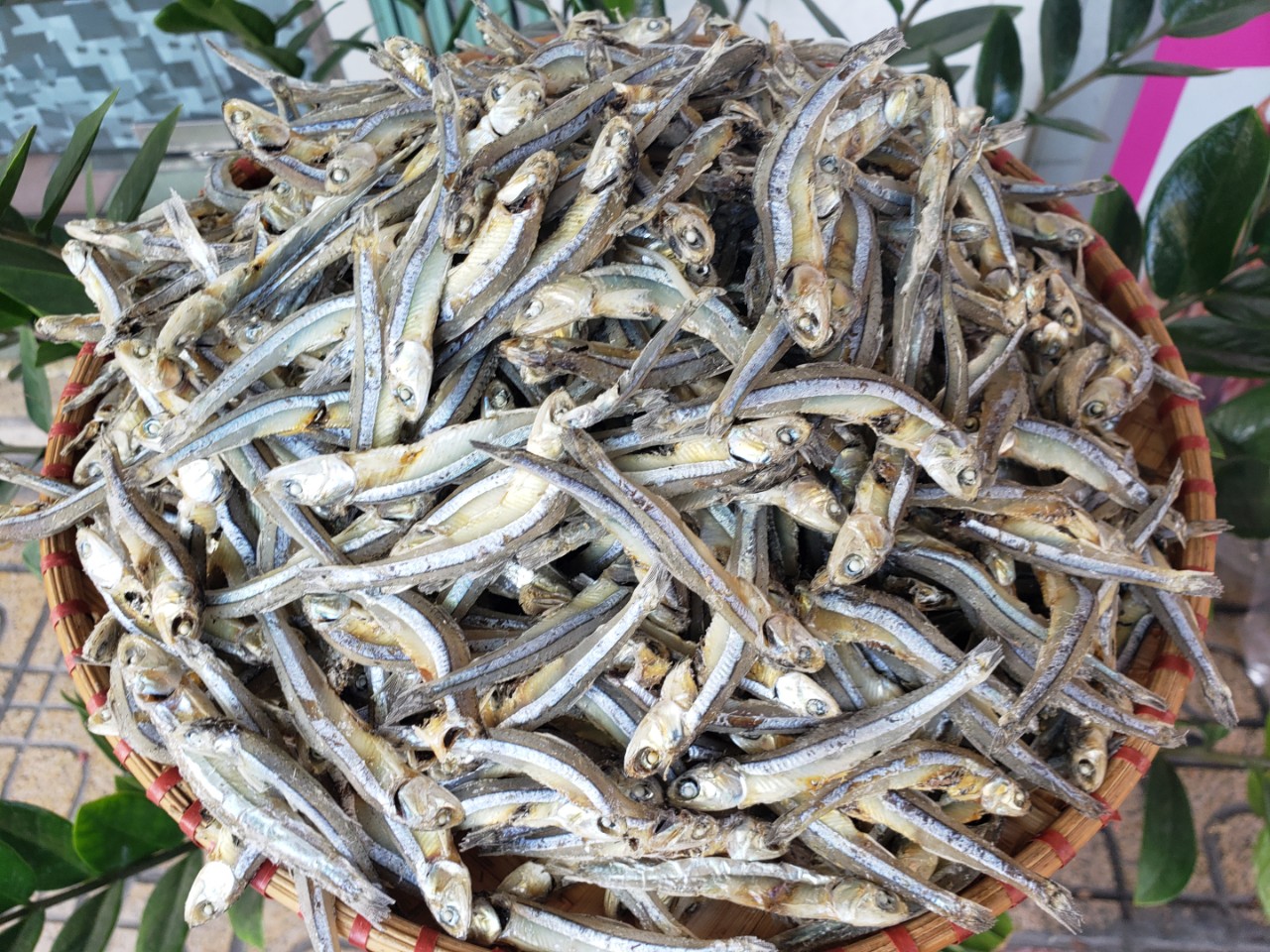 500G KHÔ CÁ CƠM NGON RẺ