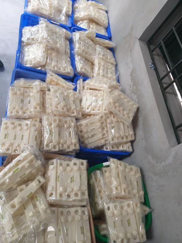 10 THƯỚC CÂN SEN