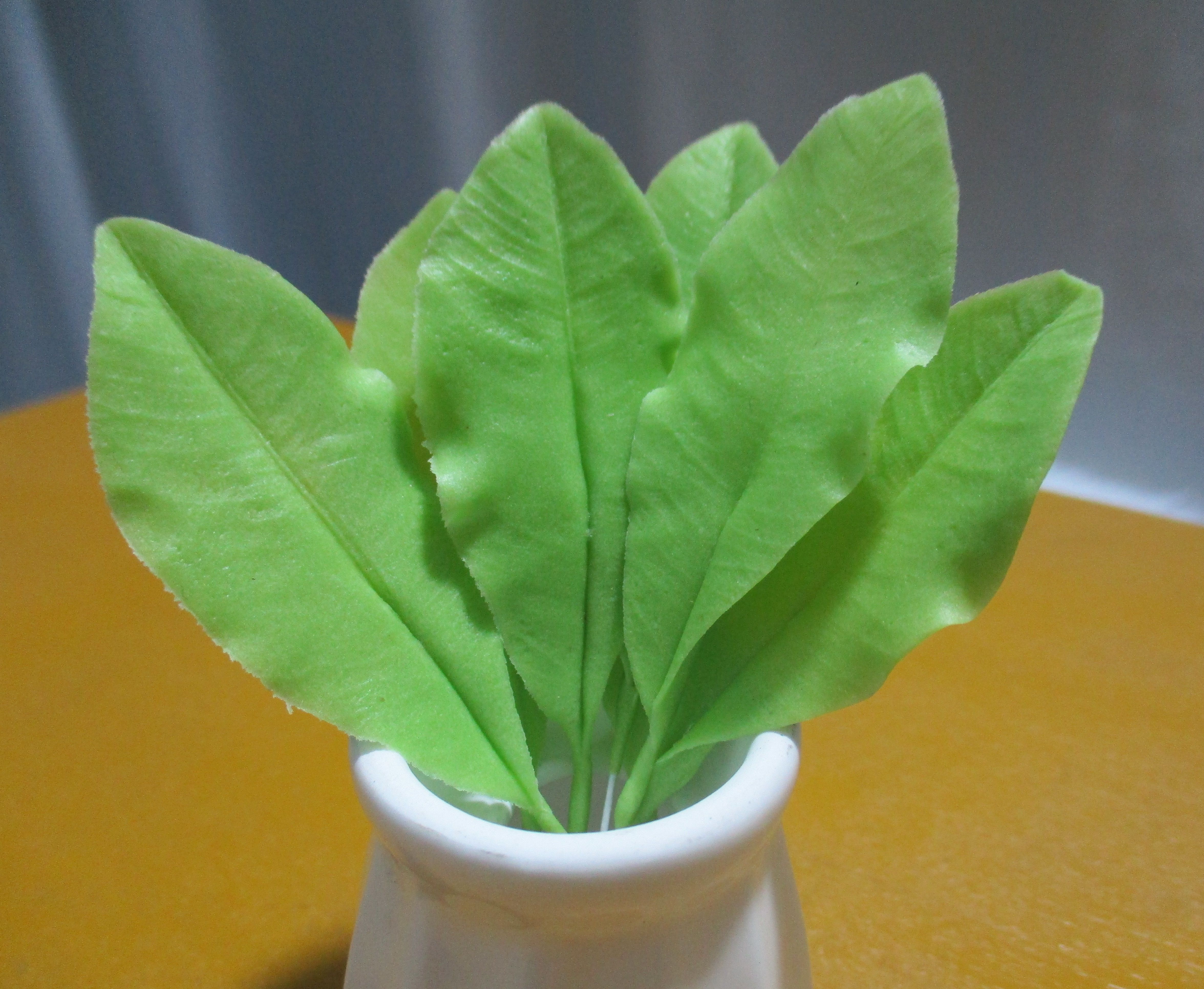 Lá Mai xanh (10 lá)