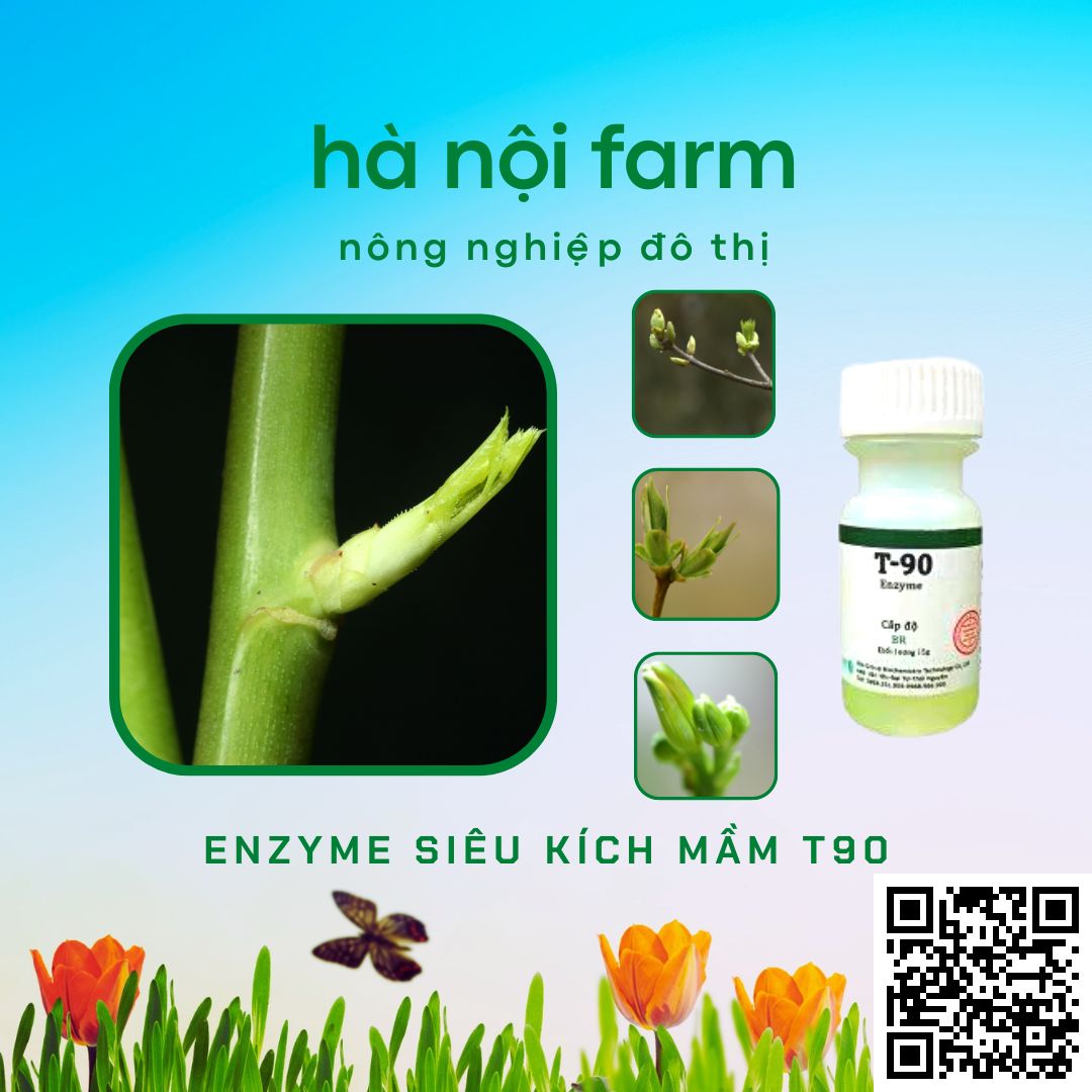 Kích mầm T90 chính hãng, kích mầm theo ý muốn, bật mầm tua tủa, cam kết hiệu quả 100%