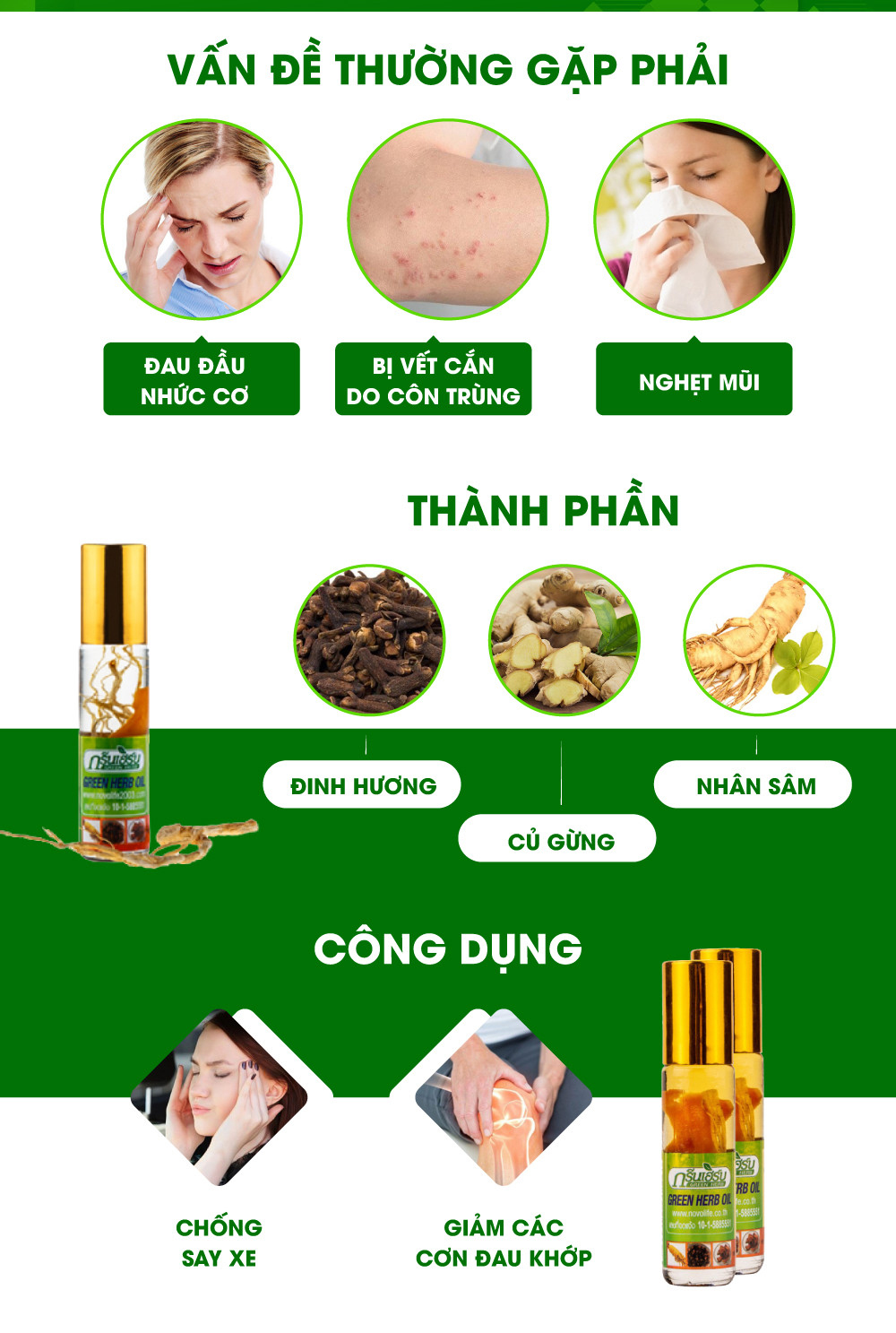 01 Dầu Nhân Sâm Ginseng Green Herb Oil Thái Lan (8ml/chai)