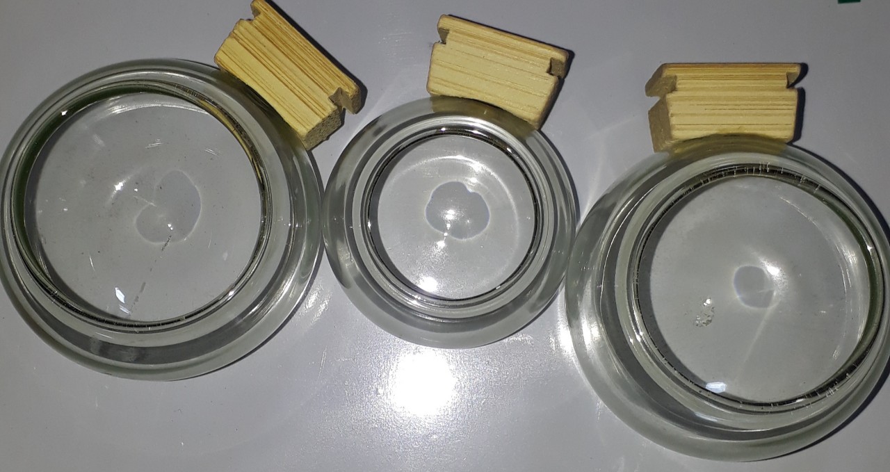 1 bộ Cóng thủy tinh lồng mào và chòe