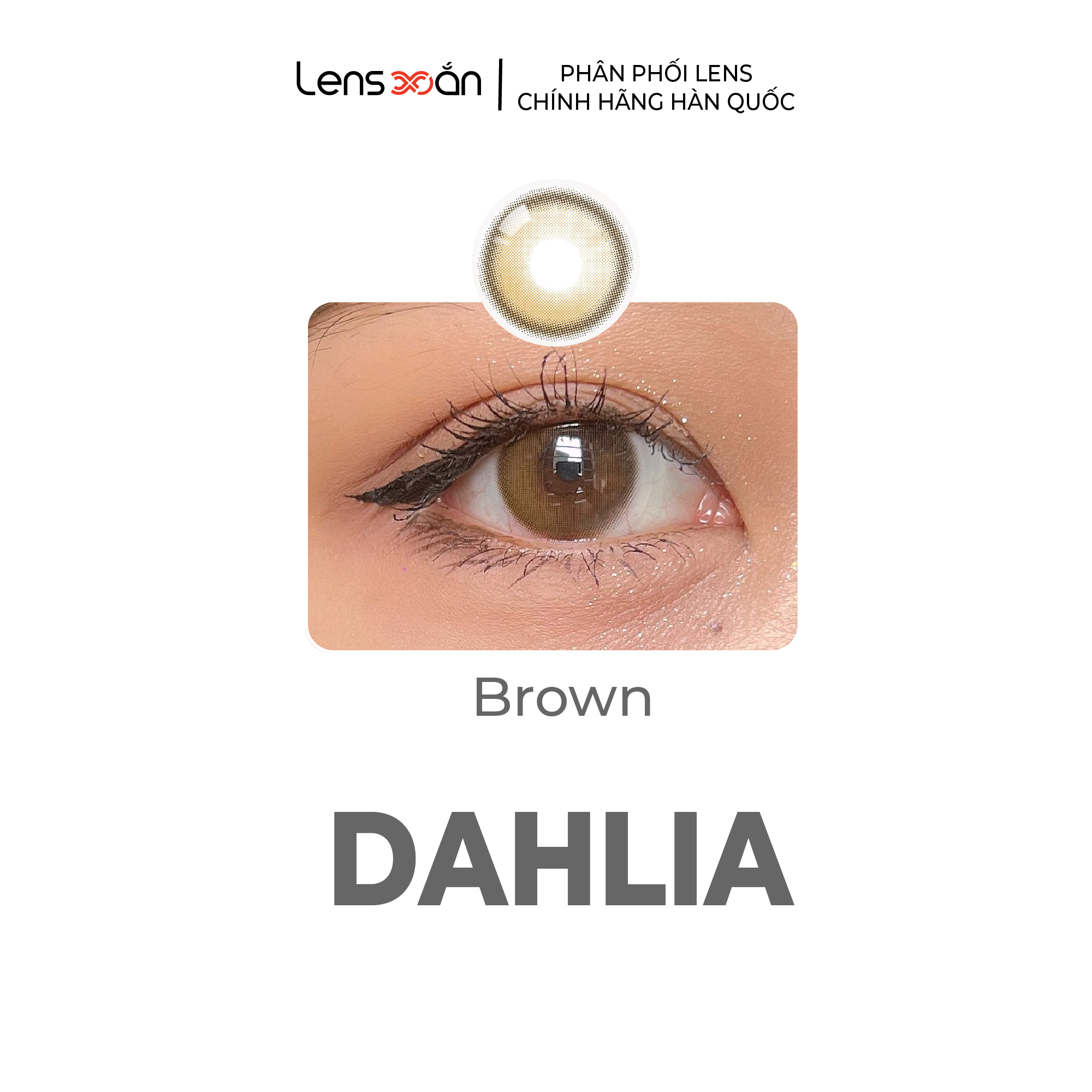 Kính áp tròng cận 6 tháng lens xoắn lens nâu hàn quốc phủ bóng olola dahlia brown