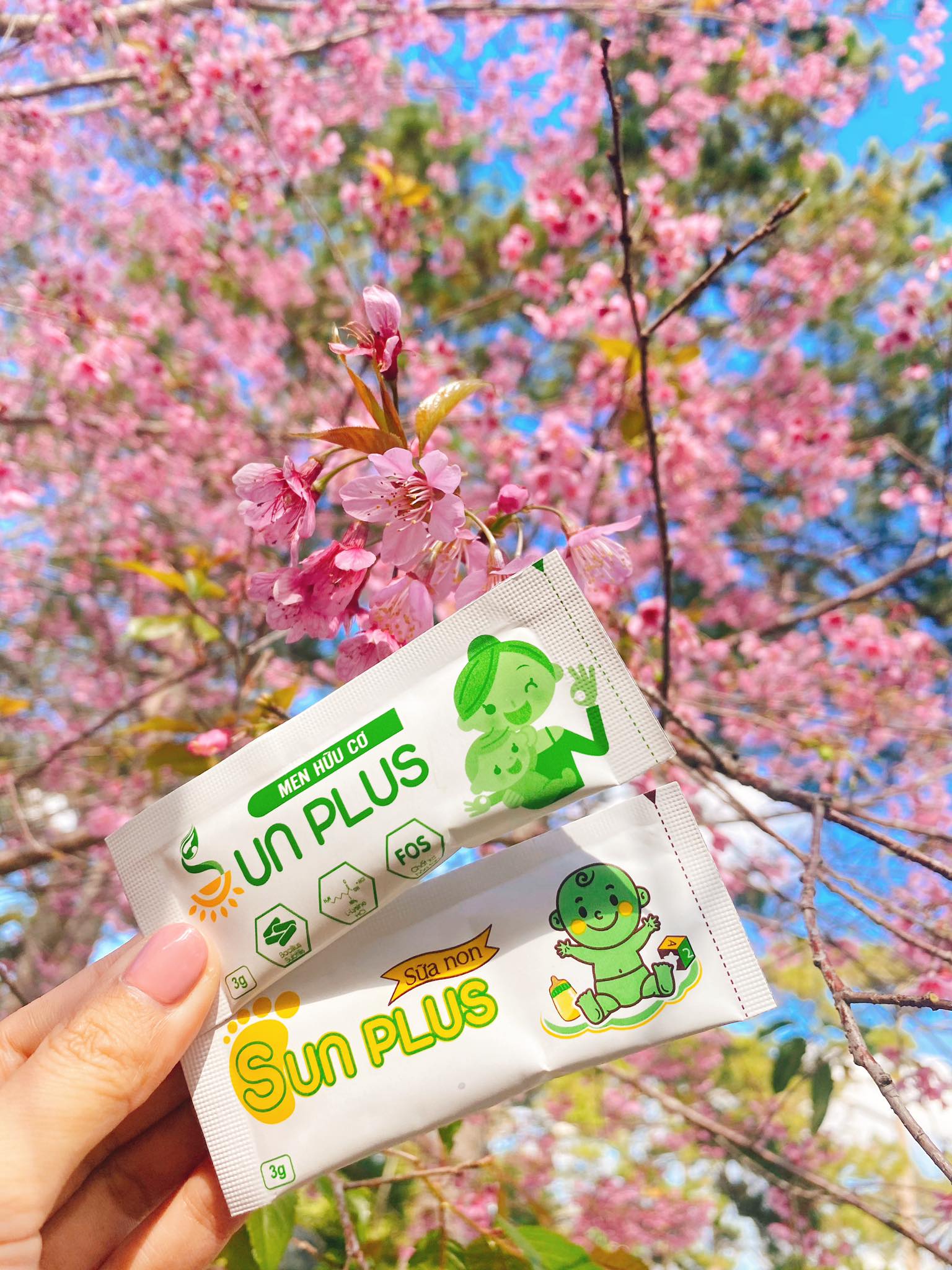 Men hữu cơ Sunplus