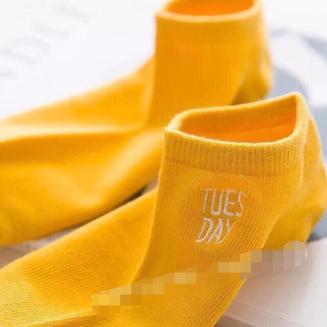 Tất tuần 7 ngày UNISEX
