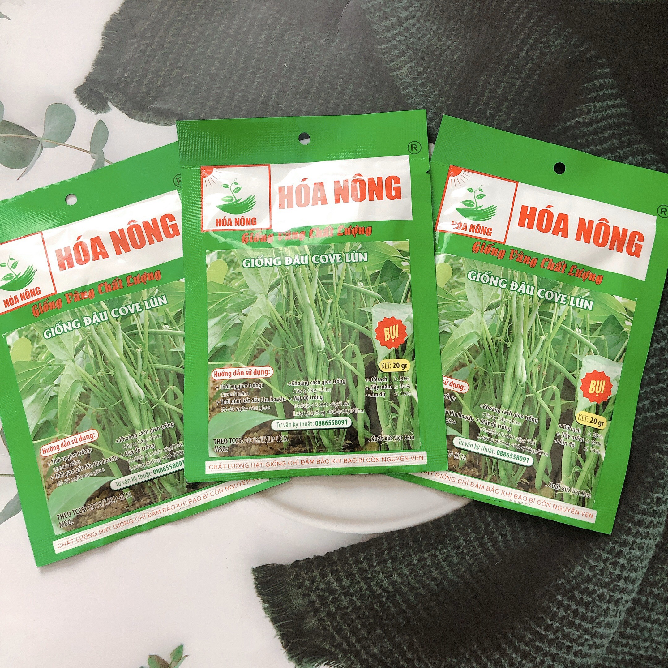 Hạt giống đậu cove lùn HN gói 20gr