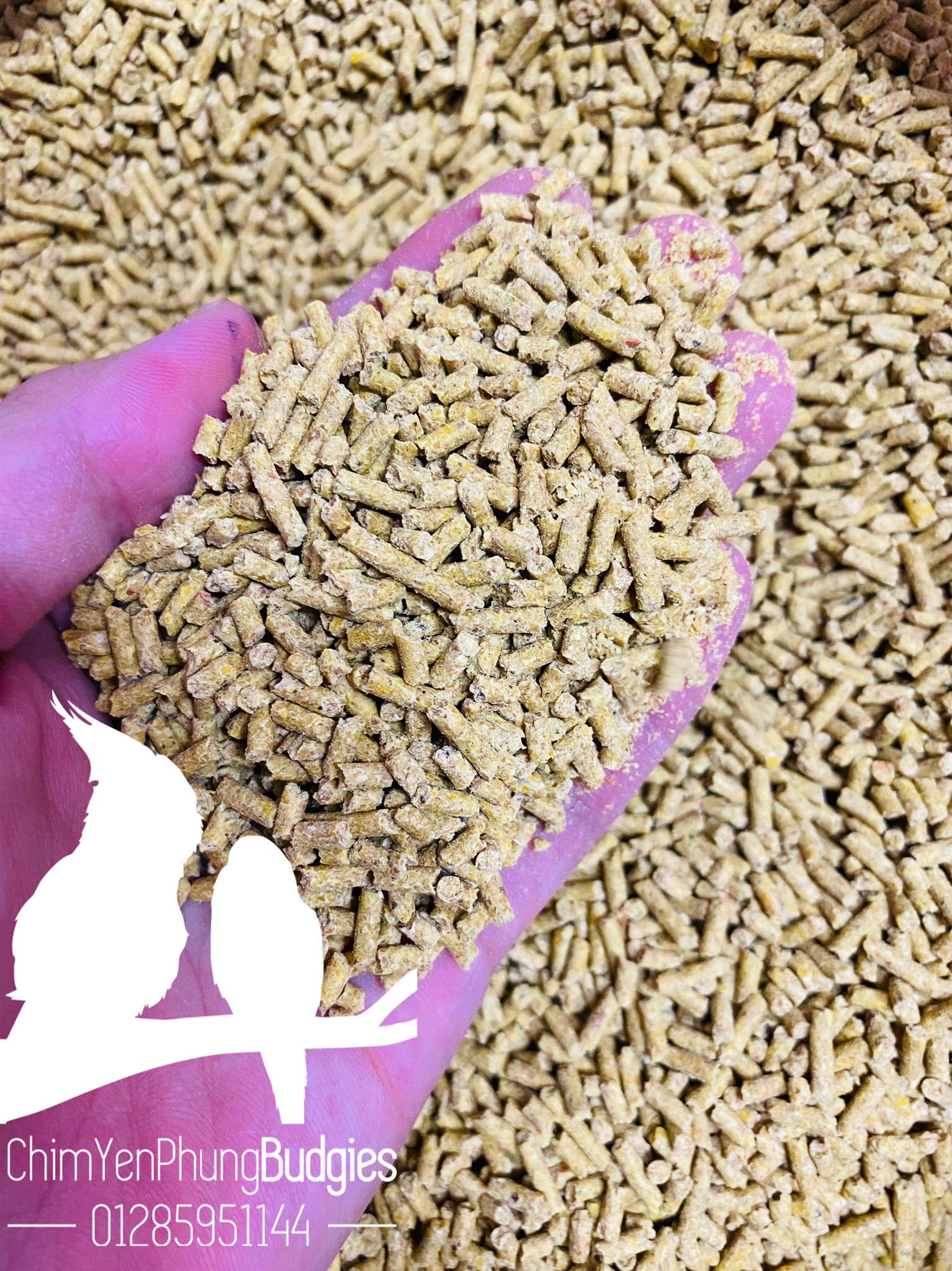1KG cám thanh bình dinh dưỡng cho gà (thức ăn hỗn hợp, thức ăn gà)