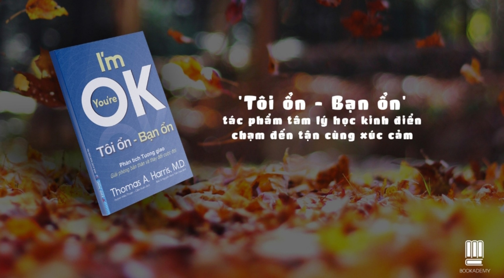 Tôi Ổn - Bạn Ổn (Thomas A Harris)