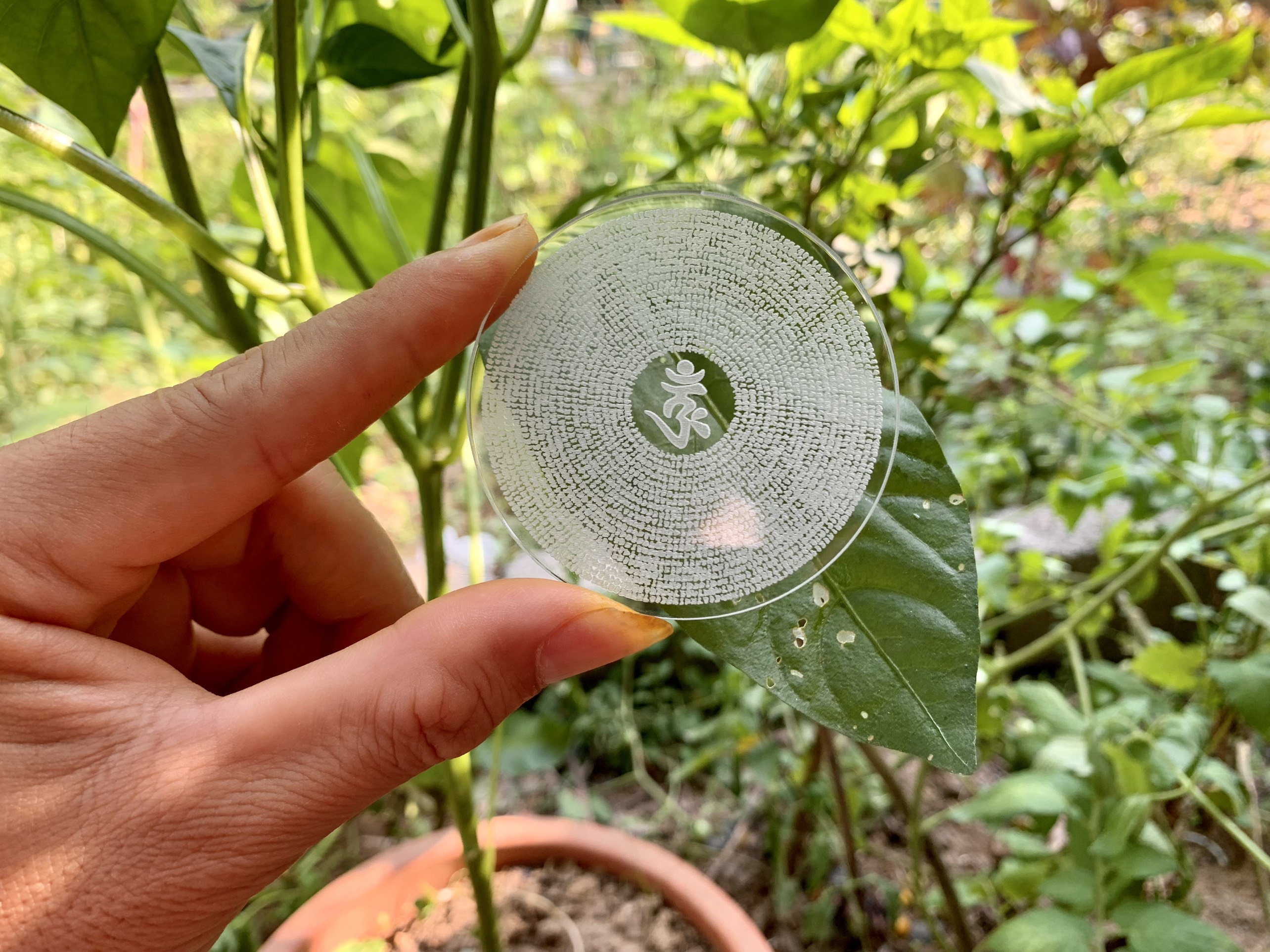 Chú Lăng Nghiêm Phật Pháp