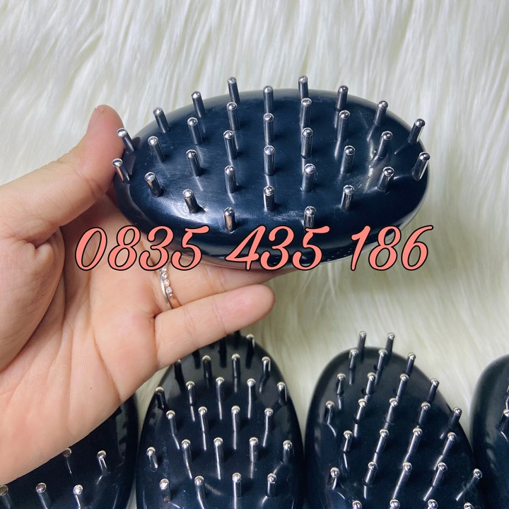 [HCM]CON BỌ LỚN DIỆN CHẨN