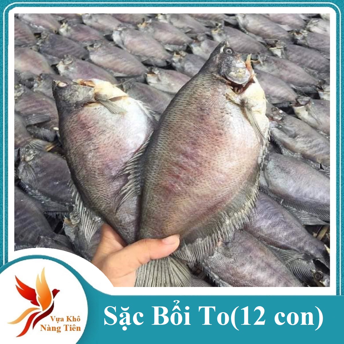 1 kg  KHÔ CÁ SẠC TO - 12 CON 1 KG ĐẶC SẢN U MINH CÀ MAU NGON TUYỆT DIỆU