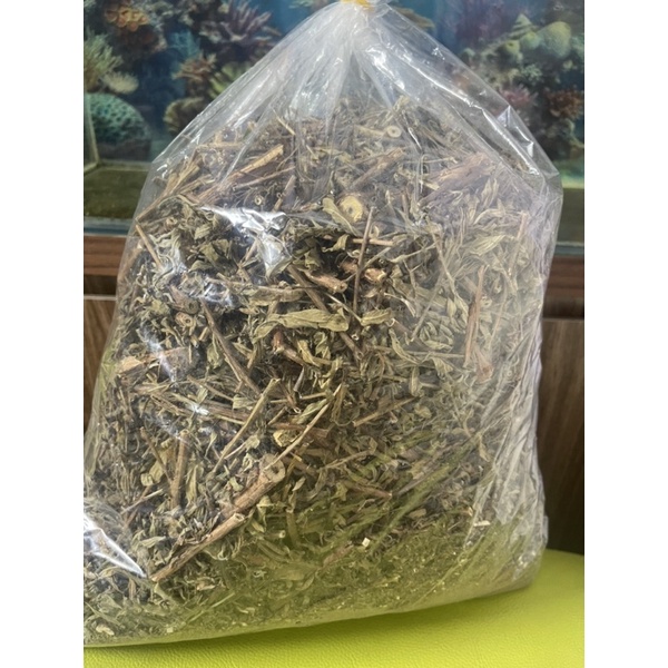 1KG Cây rau mương
