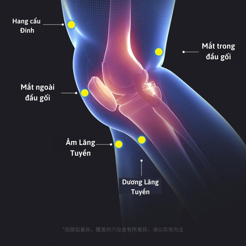 Máy massage đầu gối và chân, máy massage đa năng