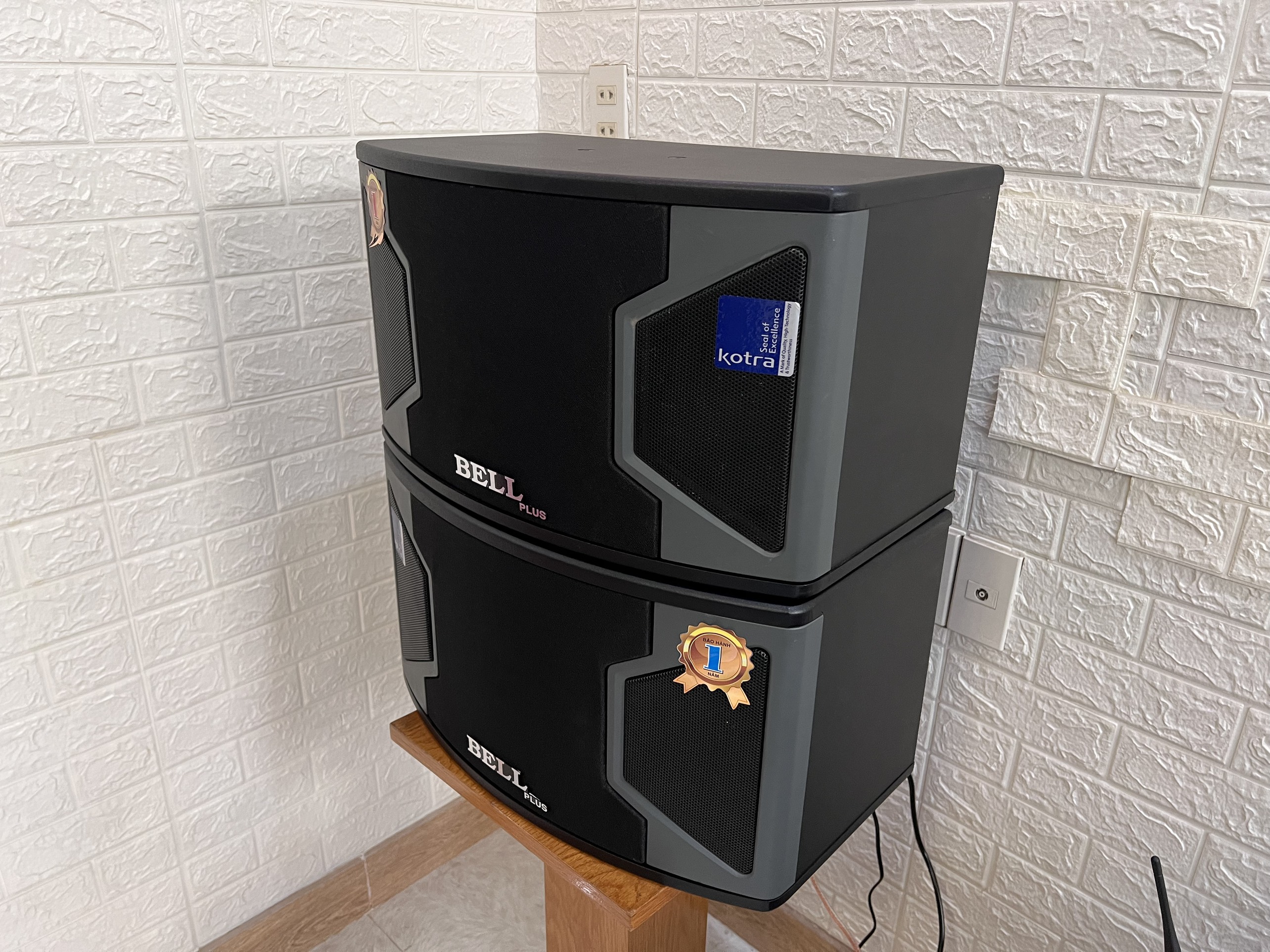 Loa karaoke KS 310
