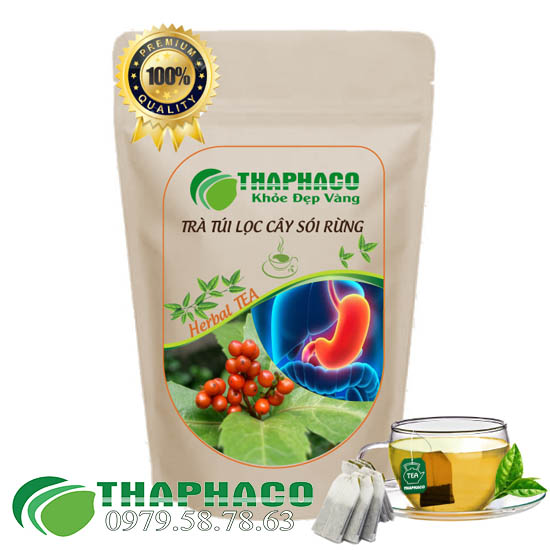 Trà Túi Lọc Cây Sói Rừng Thaphaco
