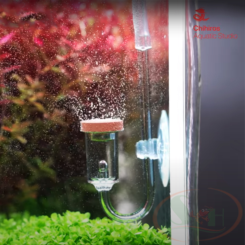 Đầu sủi co2 Chihiros Nano Diffuser khuếch tán trộn bọt co2 mịn bể thủy sinh