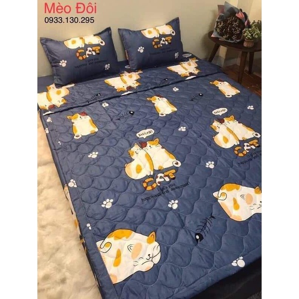 Bộ chăn hè trần bông ga gối 5 món poly cotton mùa hè