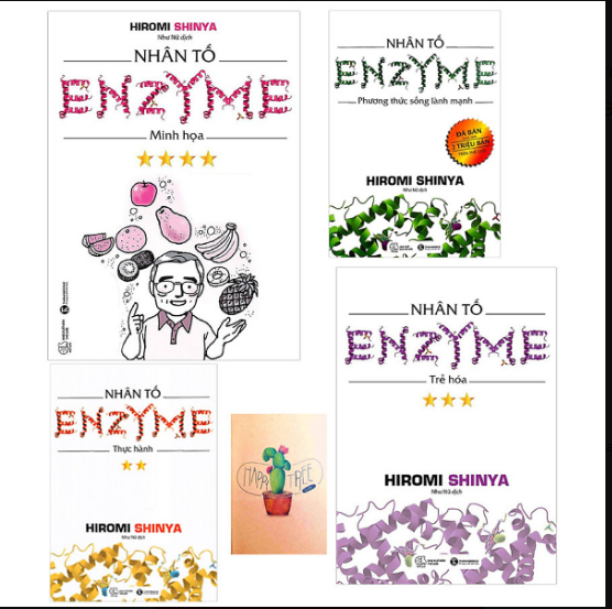 BÁO GIÁ NHÂN TỐ ENZYME - PHƯƠNG THỨC SỐNG LÀNH MẠNH (TÁI BẢN 2019) | Shopee Lazada Sendo Tiki mới nhất 38 Combo Nhân Tố Enzyme : Trẻ Hóa, Phương Thức Sống Lành Mạnh, Minh Họa, Thực Hành ( Tặng Kèm Sổ Tay )