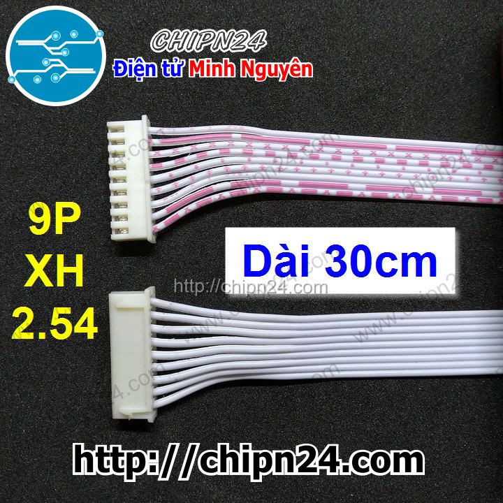 Dây bẹ 9p 30cm xh2.54mm