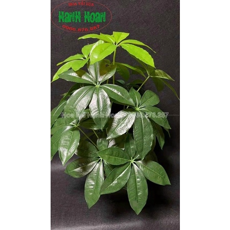 CÂY HOA SỮA GIẢ 18 LÁ CAO 80cm - CÂY DECOR