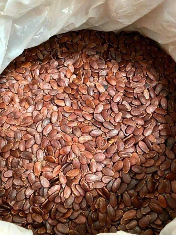 1KG HẠT DƯA TỨ HƯNG KHÔNG PHẨM MÀU