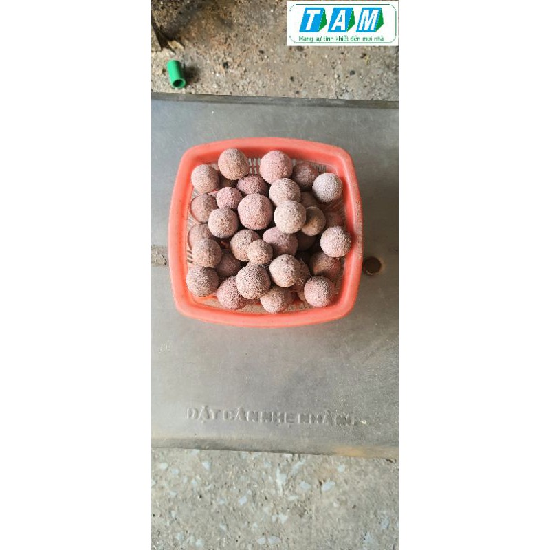 Combo 10kg hạt aluwat sứ nung đá vôi