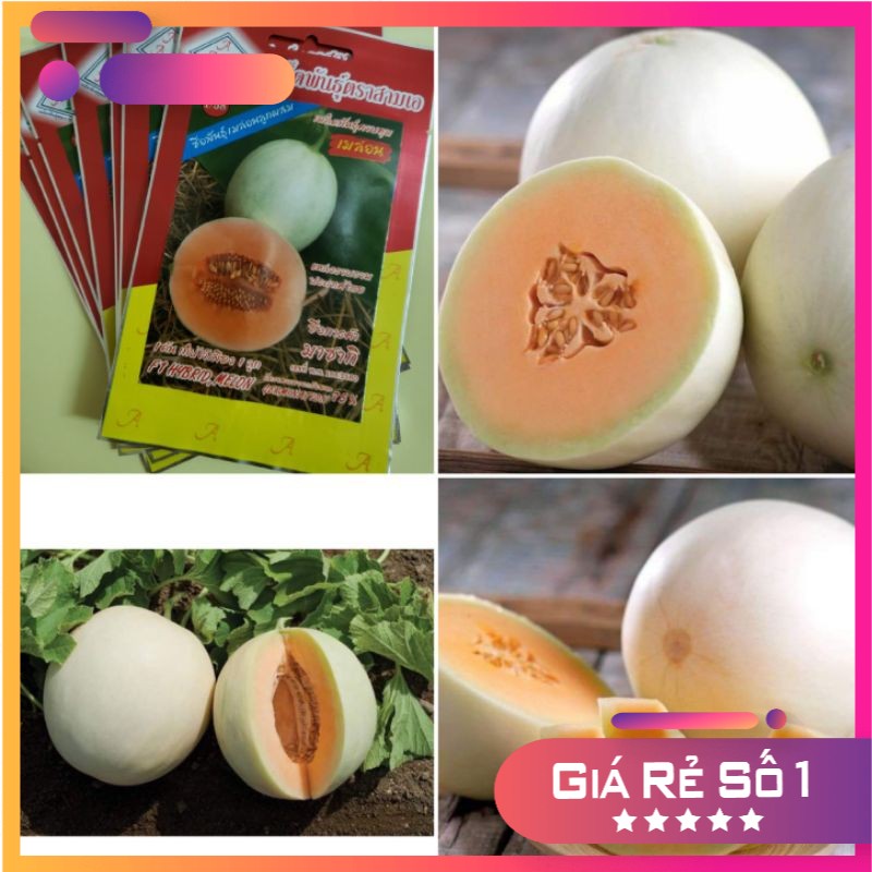 Hạt giống dưa lê cẩm ngọc ruột đỏ F1 Thái Lan