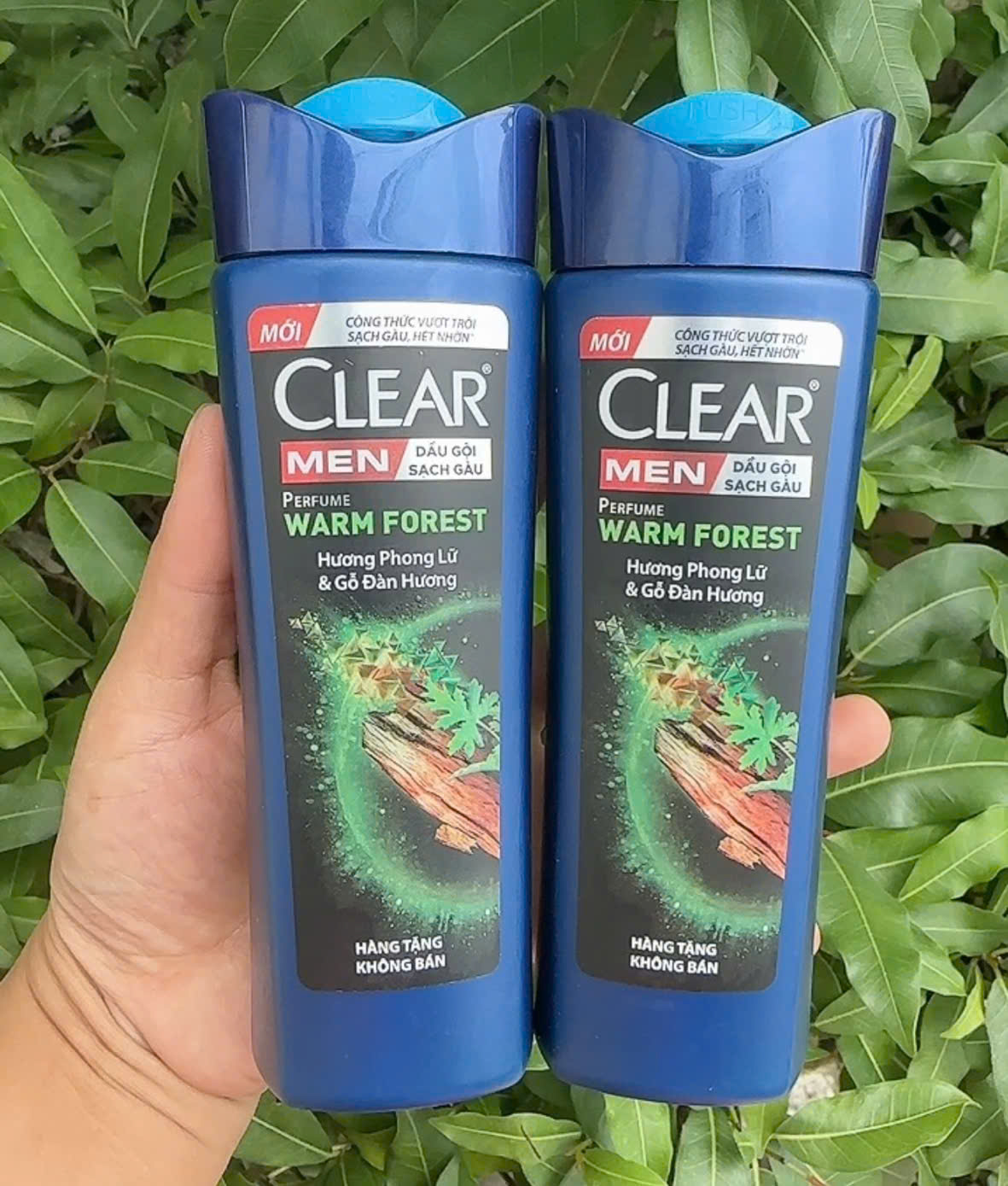 ( hàng khuyến mãi) Dầu gội Clear Men Phong Lữ 140g
