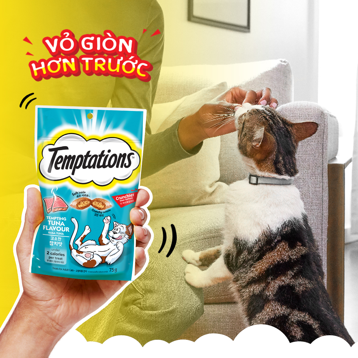 Bánh thưởng cho mèo Temptations vị cá ngừ