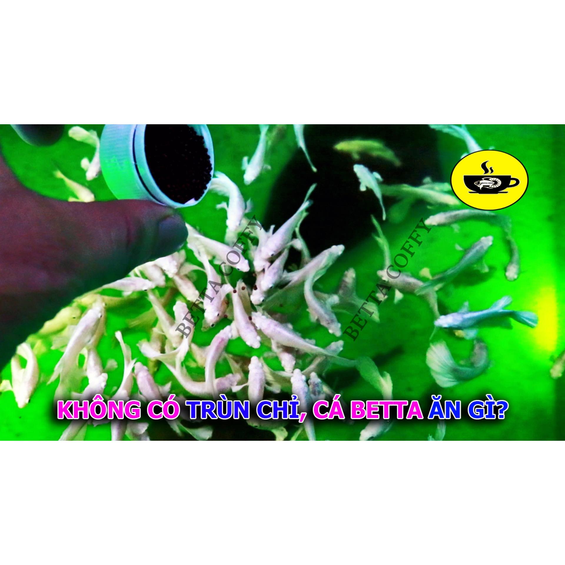 [Hoàn Tiền 15%] Cám BECO 1 2 - Thức ăn cho cá lớn 🐠 BETTA COFFY