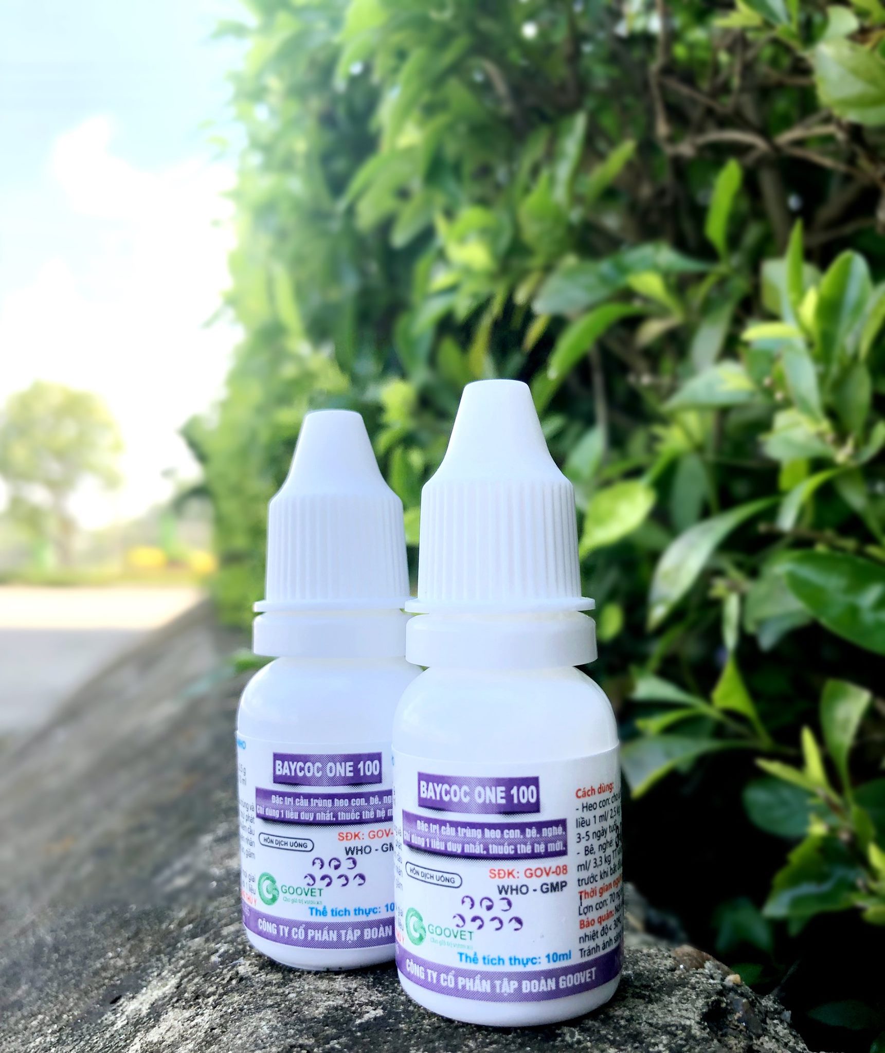 Baycoc one 100 10ml- Đặc trị cầu trùng
