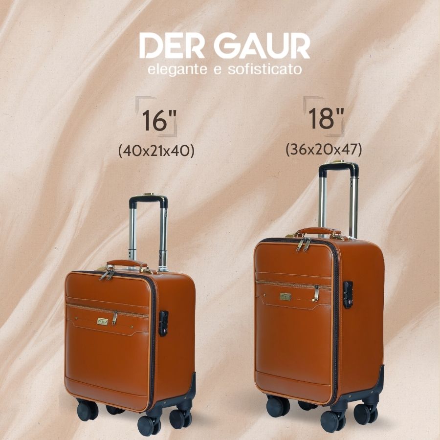 Vali Hành lý chất Da cao cấp DERGAUR DGJ A01 - 14