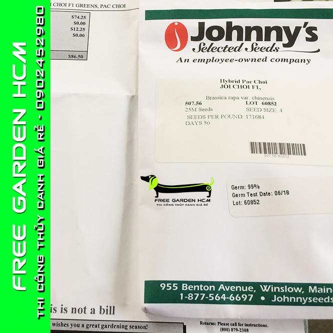 COMBO 100 HẠT GIỐNG CẢI JOI CHOI - JOHNNYSEEDS