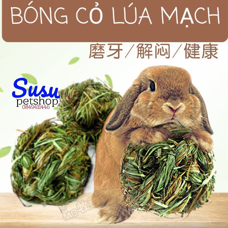Bóng cỏ lúa mạch cho Thỏ,Guinea Pig, Chinchilla..