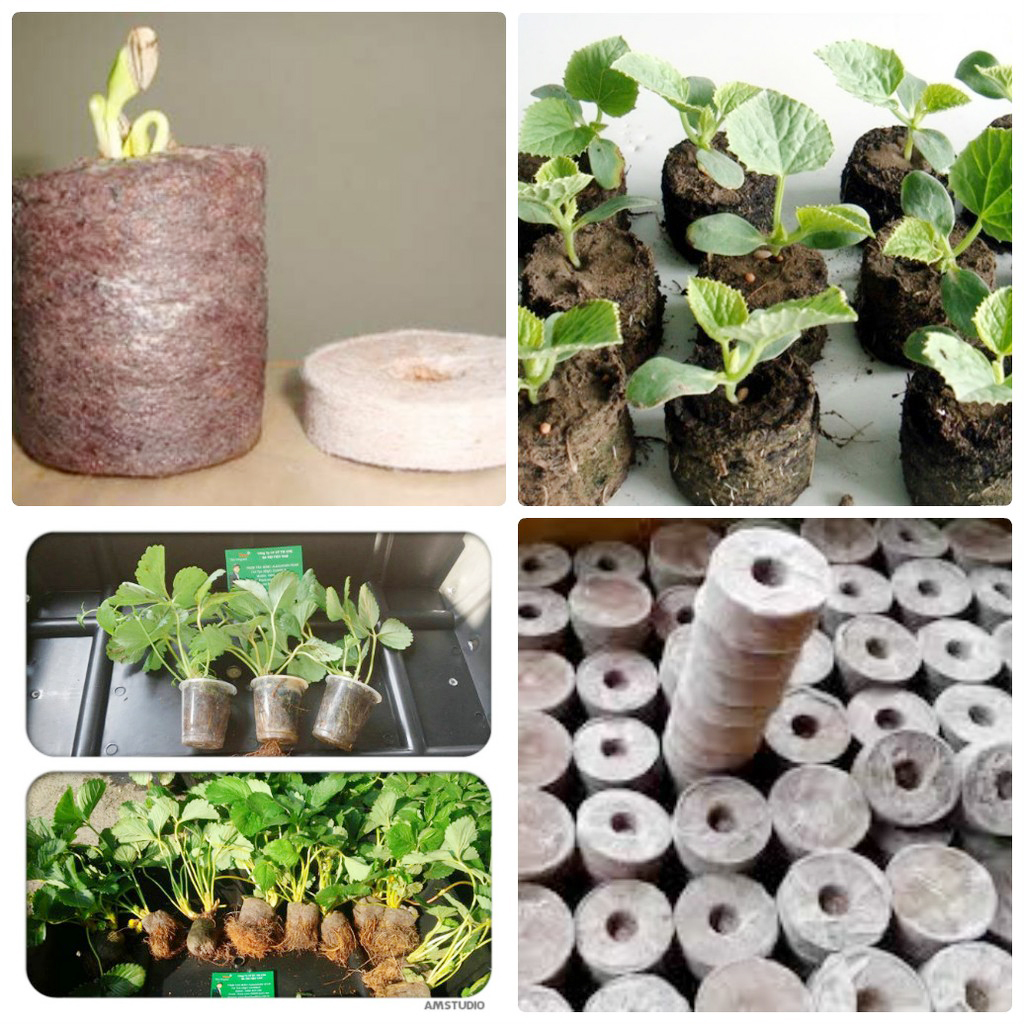 100 Viên nén ươm hạt giống (viên nén xơ dừa)