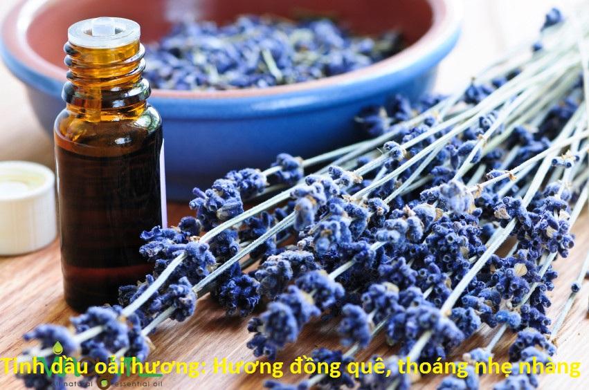Tinh dầu hoa oải hương Lavender (100ml)