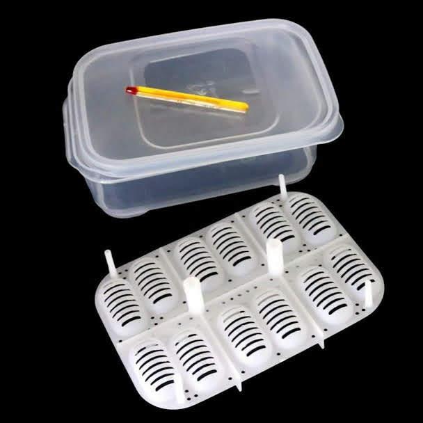 Hộp ấp trứng bò sát