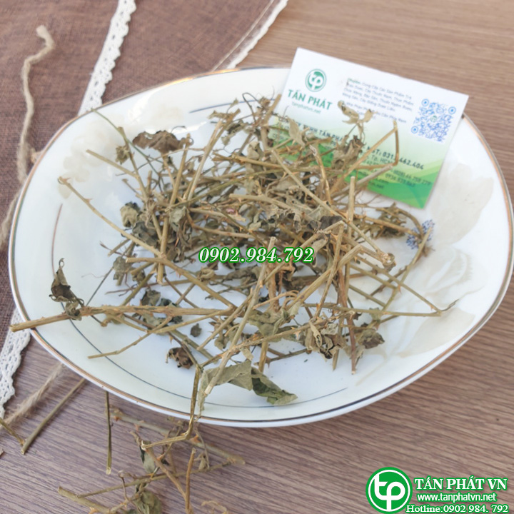 Cà gai leo sấy khô Tấn Phát 1kg - Trà ngon thanh nhiệt và giải độc gan
