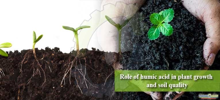 ROOTS - Đạm Cá Oganic Hữu Cơ 5 lít