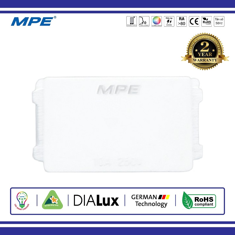 CẦU CHÌ A50-A60 MPE (A6F)
