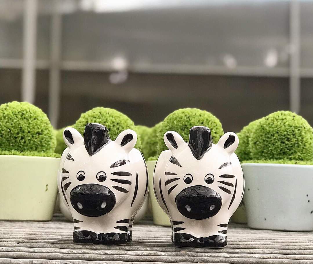 6 chậu gốm mini hình con vật cute.